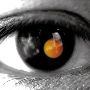 日韩av激情在线观看
