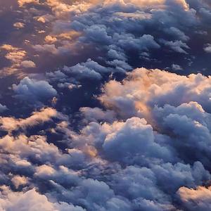 日韩av激情在线观看
