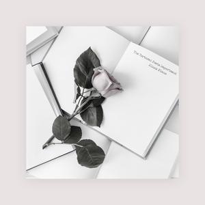 日韩av激情在线观看
