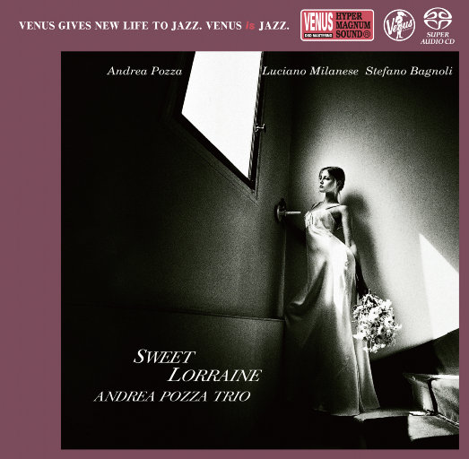 日韩av激情在线观看
